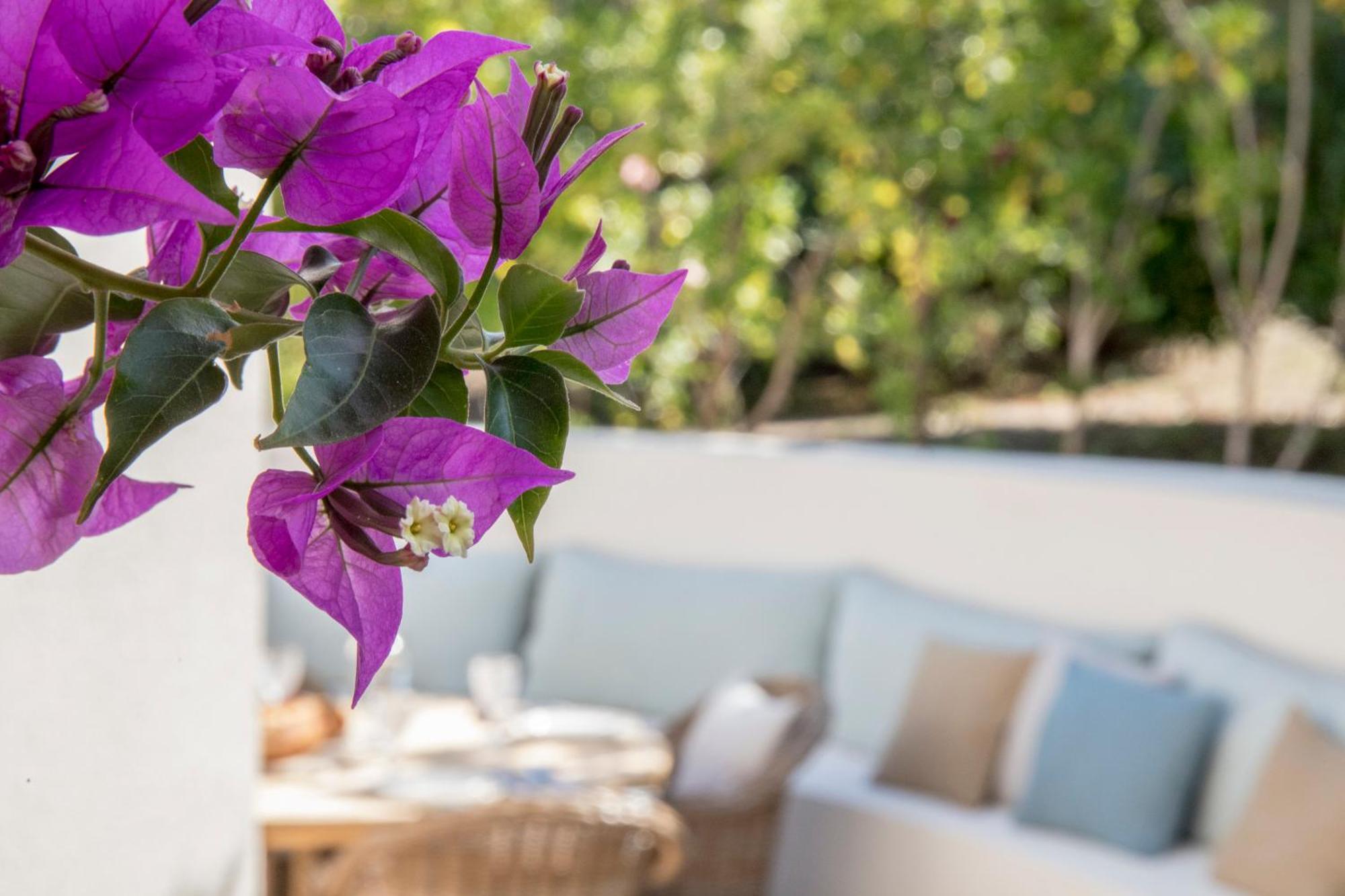 Boutique Hotel Chateau Rouher 프로프리아노 외부 사진